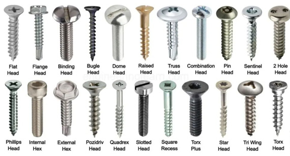 types of Screws